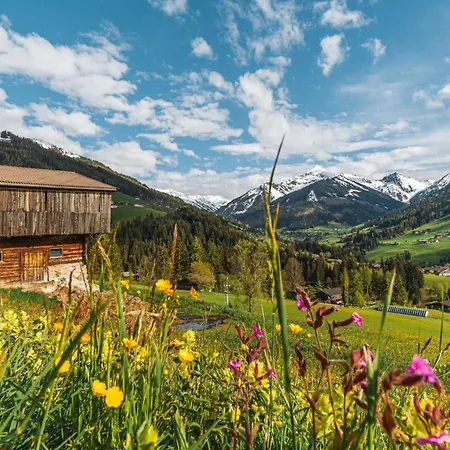 Nina's With Pool & Sauna Access Casa de Férias Reith im Alpbachtal
